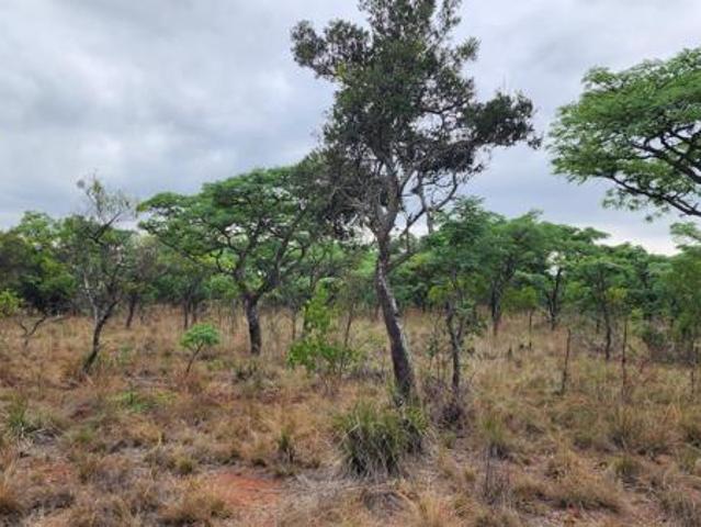 Property for sale in Limpopo