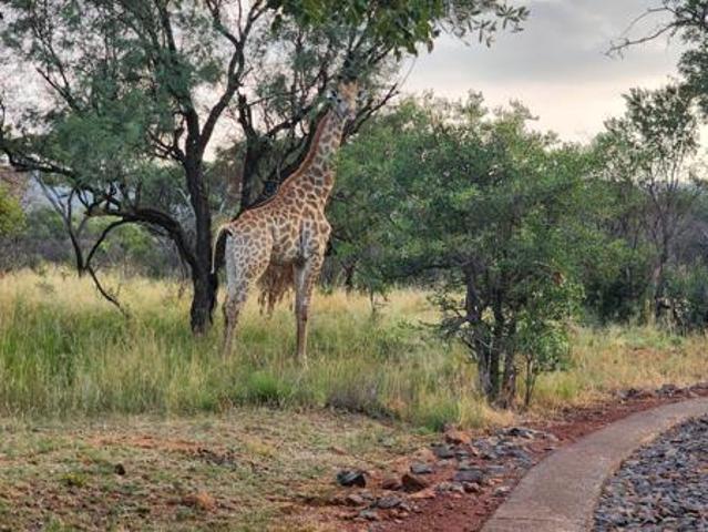 Property for sale in Limpopo