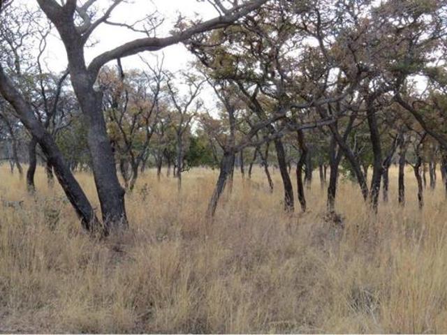 Property for sale in Limpopo