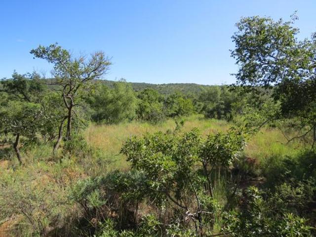 Property for sale in Limpopo