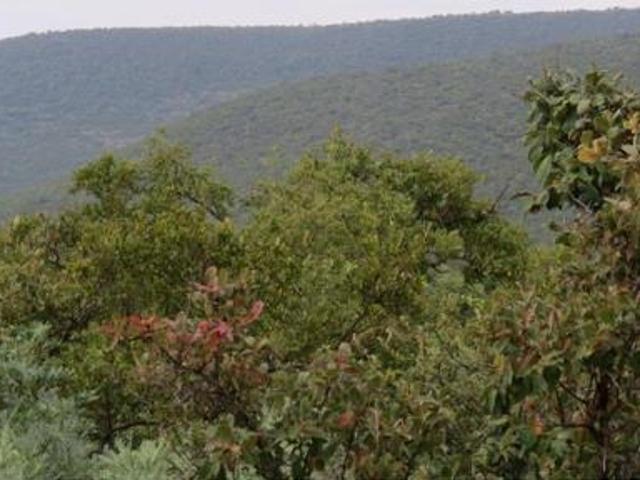 Property for sale in Limpopo