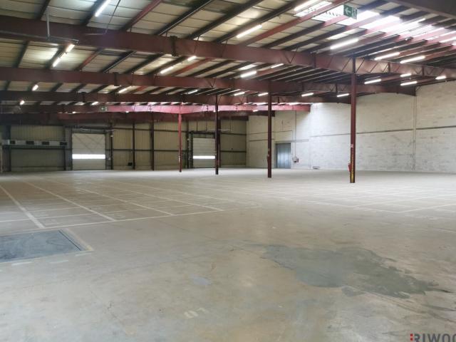 Gewerbe mieten in Groß-Enzersdorf, Niederösterreich