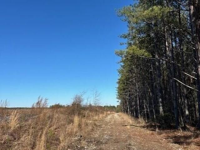 Land for sale in Tennessee