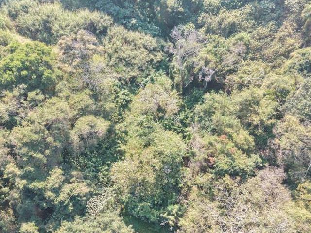 Property for sale in Ugu District Municipality, Kwazulu-natal