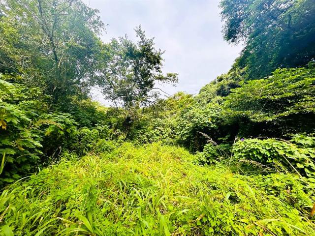 Property for sale in Port Shepstone, Hibiscus Coast Local Municipality