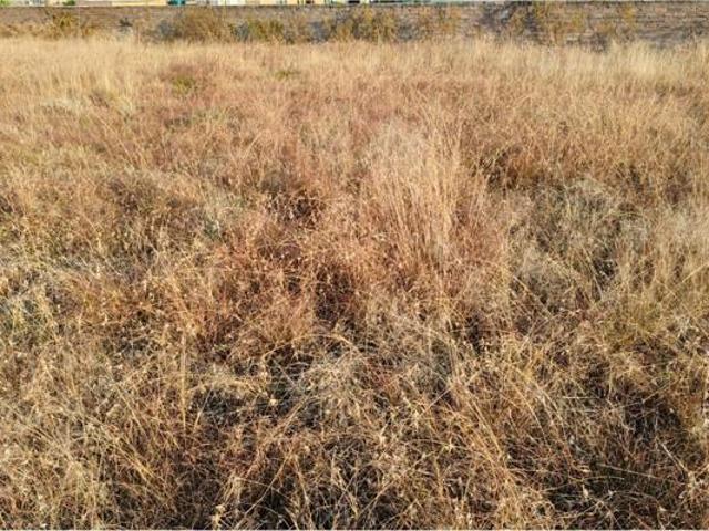 Property for sale in Midvaal, Gauteng