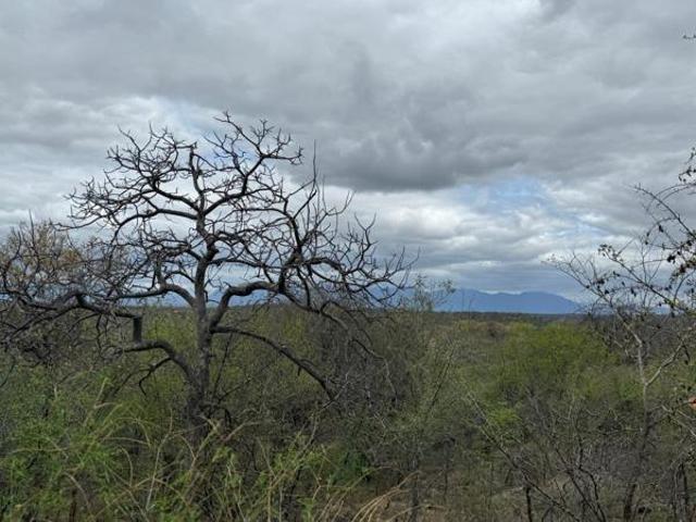 Property for sale in Mopani, Limpopo