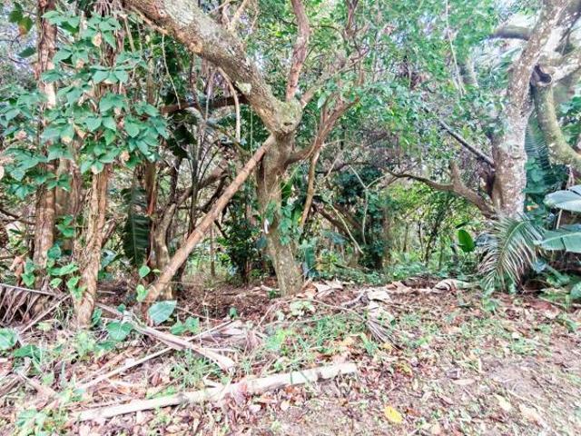 Property for sale in Ugu District Municipality, Kwazulu-natal