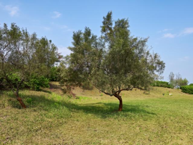 Property for sale in New Hanover, uMshwathi Local Municipality