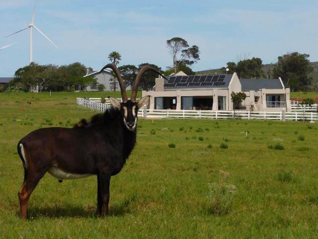 Property for sale in Jeffreys Bay, Kouga Local Municipality