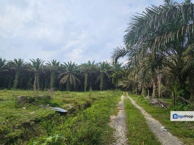 Shop for sale in Perak