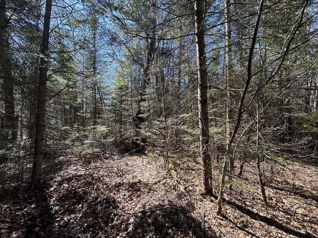 Land for sale in Mio, Michigan