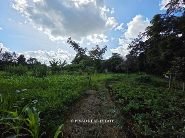 Land for sale in Kiambu, Ridgeways