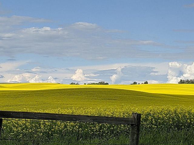 Land for sale in Vermilion, Alberta