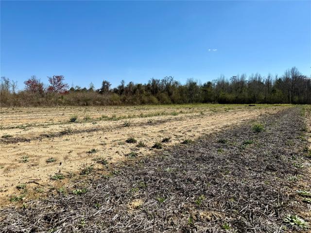 Land for sale in Ashford, Alabama