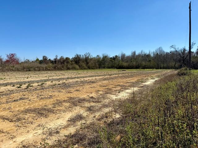 Land for sale in Ashford, Alabama