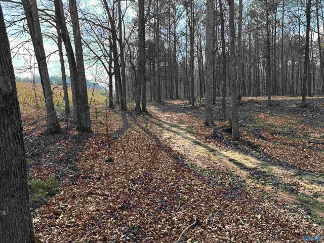 Land for sale in Trinity, Alabama