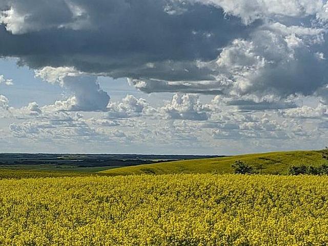 House for sale in Mulhurst Bay, Ontario