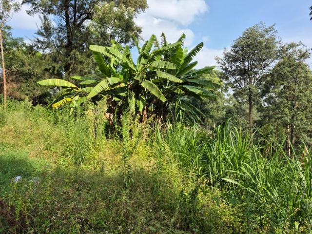 Land for sale in Kitisuru, Kiambu
