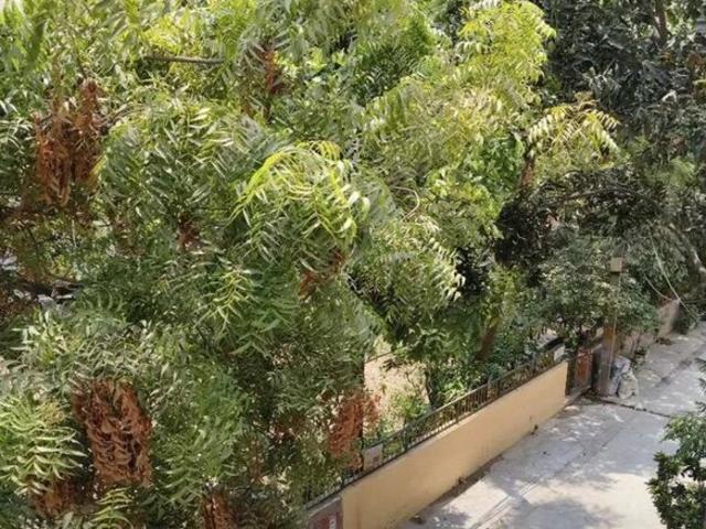 House for rent in Moradabad, Arunachal Pradesh