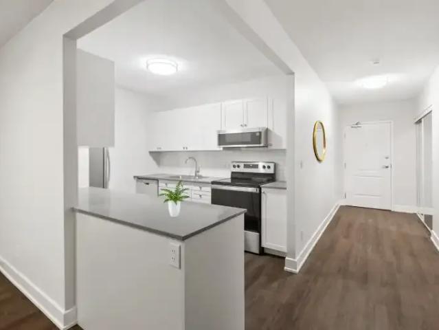 Apartment for rent in Kingston, Ontario