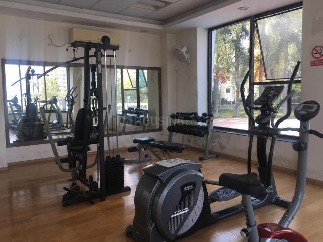Flat for rent in Haveli, National Capital Territory Of Delhi
