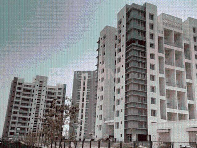 Flat for rent in Poona, National Capital Territory Of Delhi