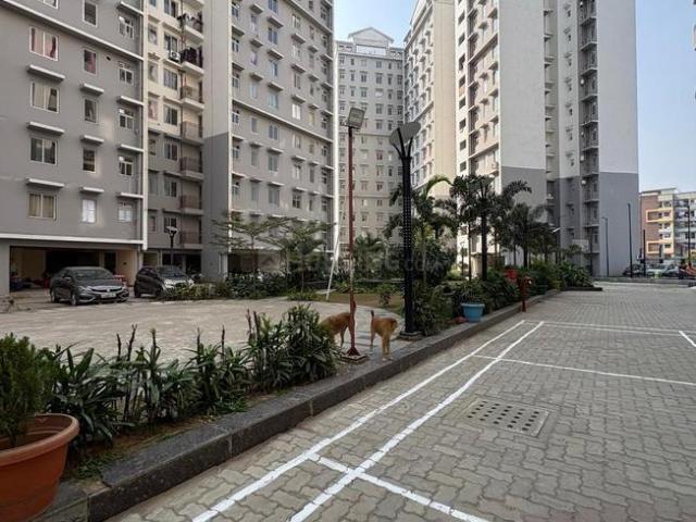 Flat for rent in Kanke, Jharkhand