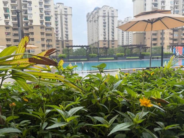 Flat for rent in Eros Sampoornam, Gautam Buddha Nagar