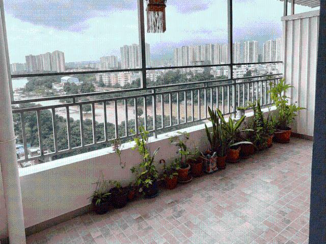 Flat for rent in Haveli, National Capital Territory Of Delhi