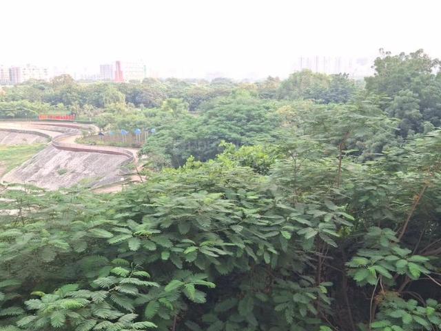 Flat for rent in Tragad, Ahmedabad
