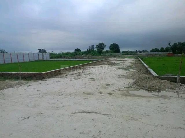Duplex for rent in Kanpur, Arunachal Pradesh