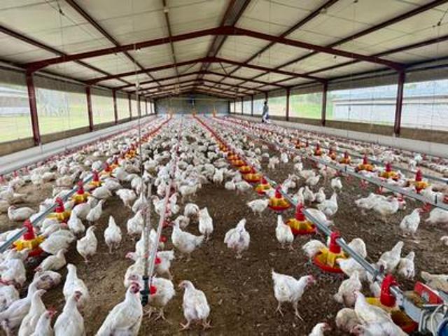 Farm for sale in Harrismith, Free State
