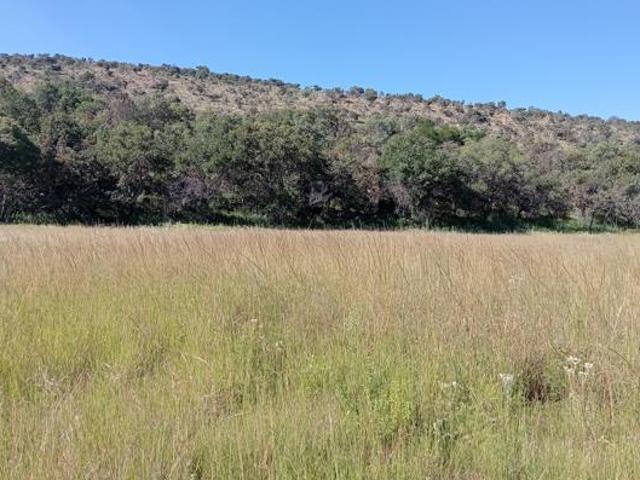 Land for sale in Limpopo
