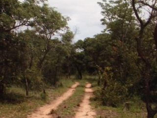 Land for sale in Limpopo