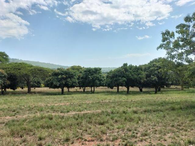 Land for sale in Tzaneen, Greater Tzaneen Local Municipality