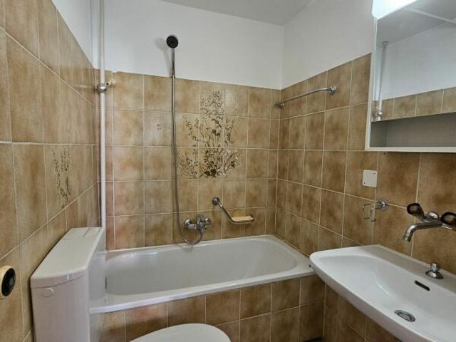 Apartment mieten in Lugano