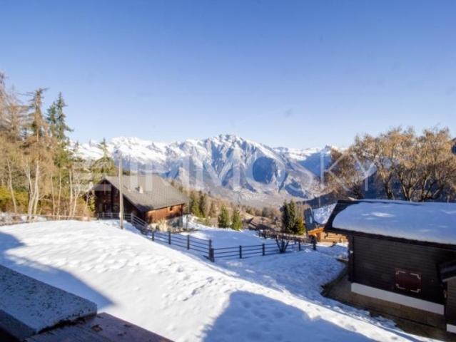 Wohnung kaufen in Riddes, Wallis