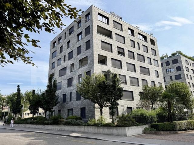 Wohnung kaufen in Quartiere Maghetti, Lugano