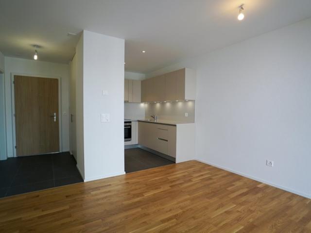 Wohnung mieten in Waadt