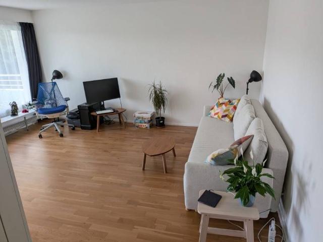 Apartment mieten in Sihlau, Adliswil