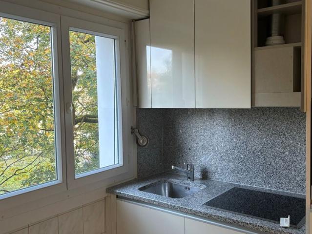Apartment mieten in Renens, Waadt