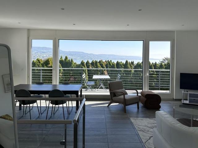 Apartment mieten in Horgen, Bezirk Horgen
