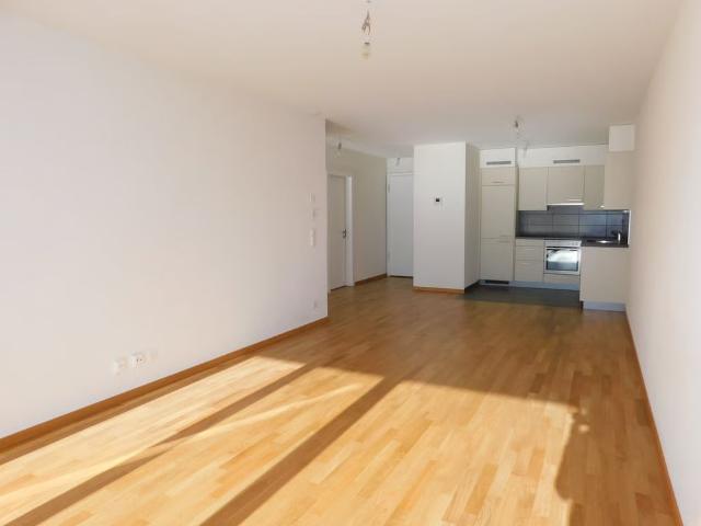 Apartment mieten in Les Mayens-de-Sion, Wallis