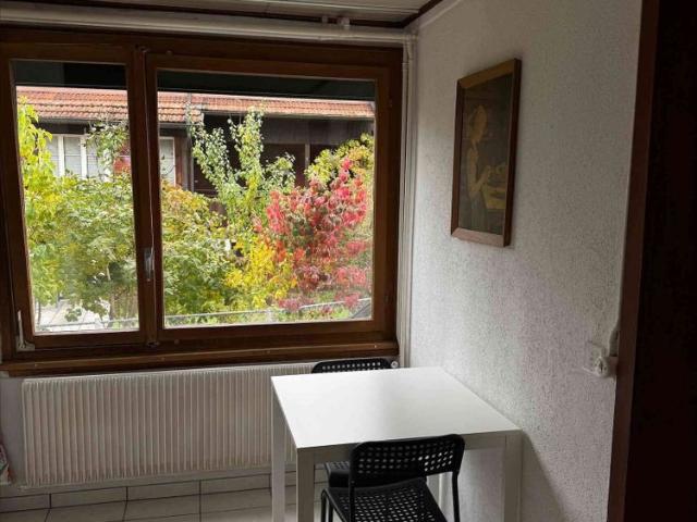 Apartment mieten in Frutigen, Bern