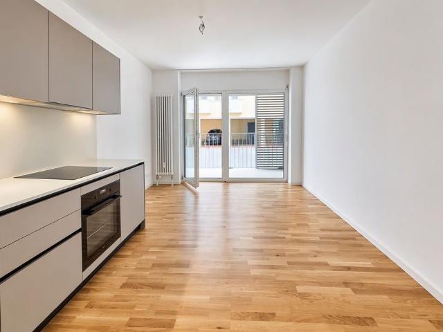 Apartment mieten in Locarno Monti, Locarno
