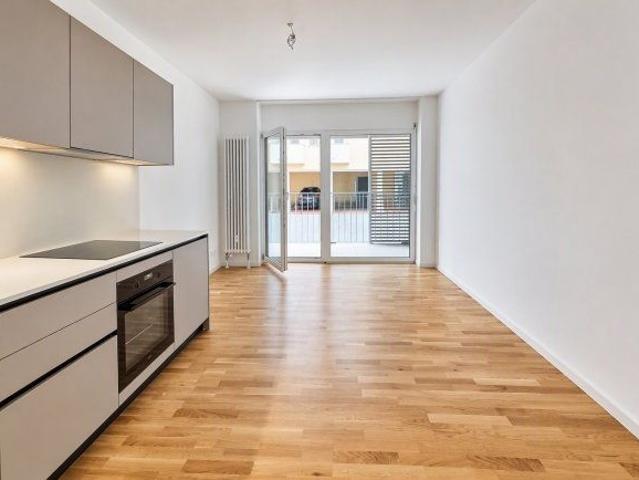 Apartment mieten in Locarno Monti, Locarno
