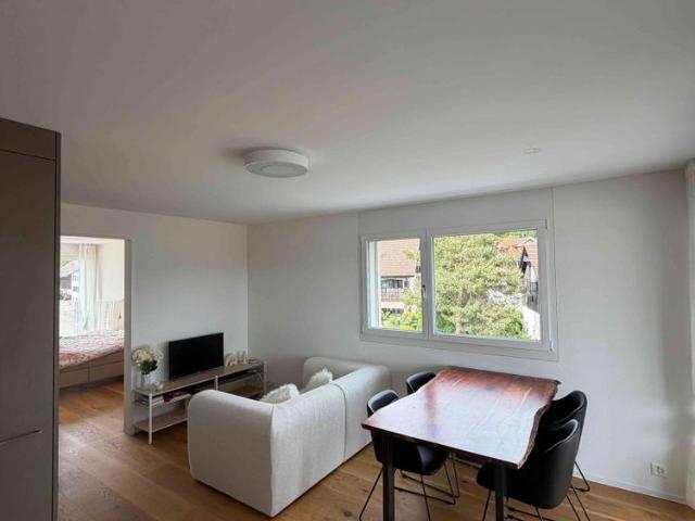 Apartment mieten in Hinwil, Zürich