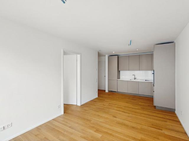 Apartment mieten in Locarno Monti, Locarno