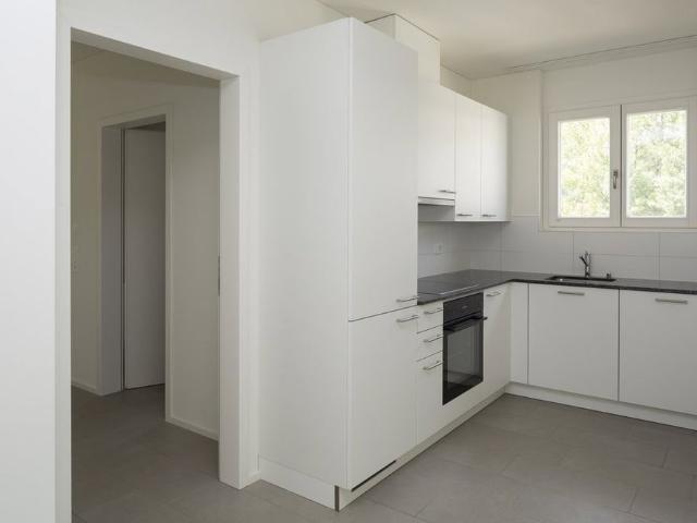 Apartment mieten in Rancate, Mendrisio